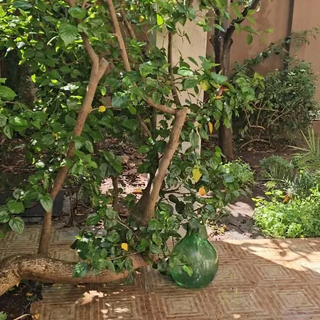 Apartman Tina' S House Cagliari